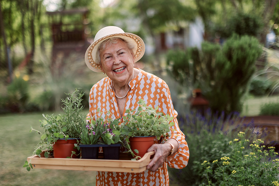Companion Care at Home in Itasca IL